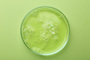 Petri dish with liquid sample on green background, top view