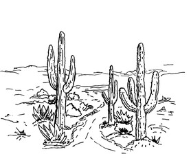 Sketch of the desert of America. Nature landscape american or mexican wild desert with stones, mountains and cactus, succulents. Prairie landscape. Hand drawn vector illustration