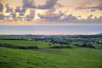 Panoramic view from the top of a green meadow with the sea in the background at sunset.
