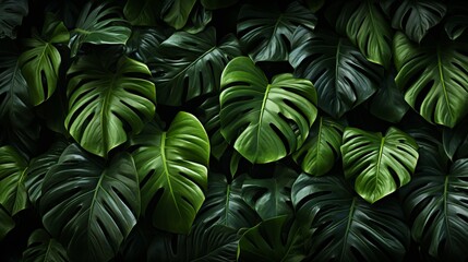Fototapeta na wymiar A pattern featuring green tropical monstera leaves