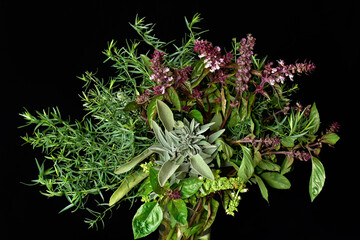 a bunch of spicy garden herbs on a black background, no people, close-up, minimalism