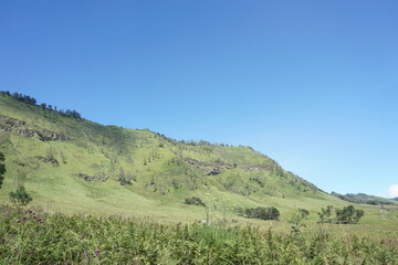 Fototapeta premium forest in the mountains.Summer mountain and sky view landscape.