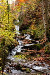 An autumn stream flowing through a colorful autumn forest