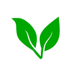 vector green leaves on white background