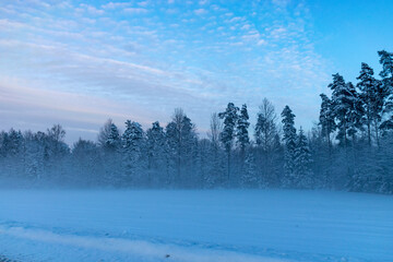 beautiful winter landscape, blue hour, dusk