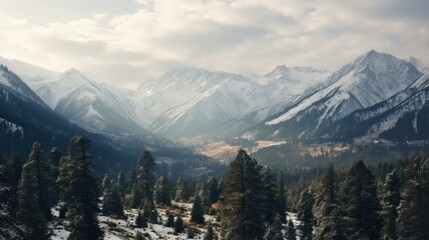 Beautiful winter landscape with snow covered mountains and coniferous forest
