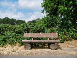 Eine Sitzbank am Wegesrand