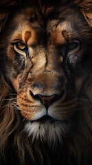 expressive closeup of a lion's face