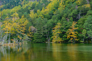 秋の紅葉の明神池
