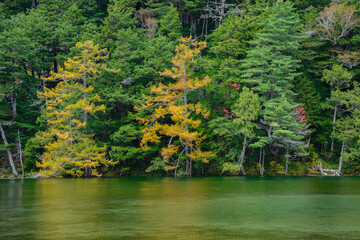 秋の紅葉の明神池
