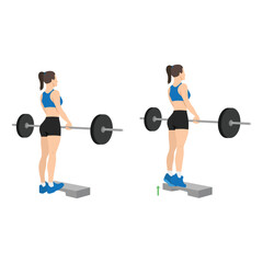 Woman doing standing calf raises with barbell exercise. Flat vector illustration isolated on white background - obrazy, fototapety, plakaty