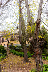  Parque de la vega, Toledo, Castilla la Mancha, España