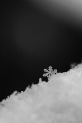 A beautiful real snowflake. Snow in nature. Macro photo in winter. Concept for Christmas and holidays.