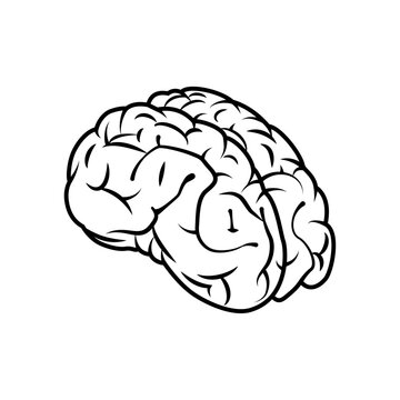 脳の線画アイコン。シンプルにリアルな頭脳のベクターイラスト。AIテクノロジーや医療のシーンで使いやすいデザインです。