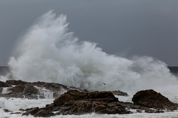 Big sea wave splash