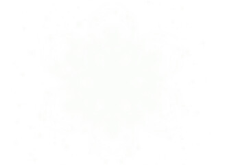 Etoile à 6 branches blanche