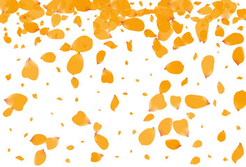 Beautiful Peony Flying Vector White Background.