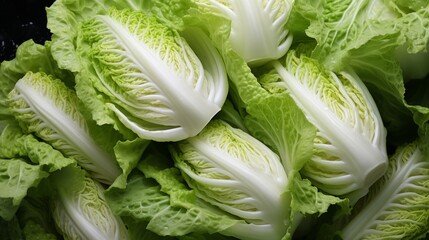 Macro shot of the texture of fresh Chinese cabbage