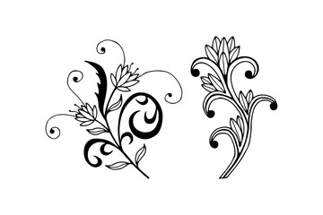 Decorative botanical, plant elements. Vector stock illustration eps10.