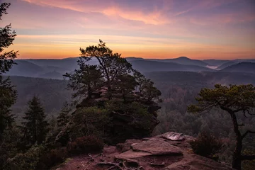 Gardinen Landscape shot in sunrise, cold winter landscape from a sandstone rock in the middle of the forest. Pure nature in the morning from a viewpoint, the Schlüsselfelsen in the Palatinate Forest, Germany © Jan