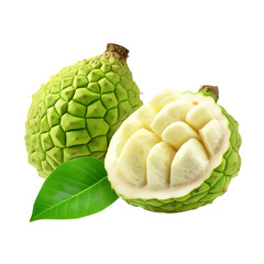 Fototapeta premium Soursop Prickly Custard Apple isolated on transparent background Remove png, Clipping Path, pen tool