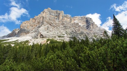 Fototapeta na wymiar View of Monte Pelmo with forest