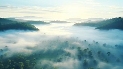 Fototapeta na wymiar Fog and morning light in the jungle. Beautiful foggy morning Landscape. aerial view