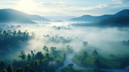 Fog and morning light in the jungle. Beautiful foggy morning Landscape. aerial view