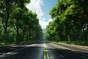 empty long city road lined with green trees on side