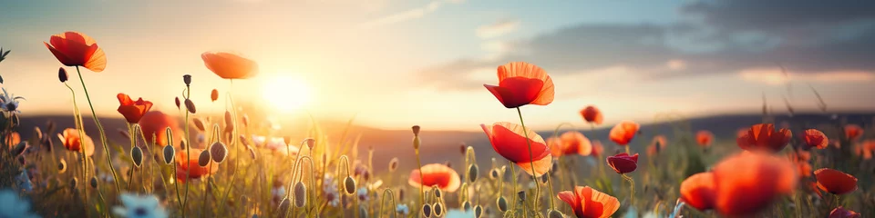 Rolgordijnen poppy field at sunset © sam richter