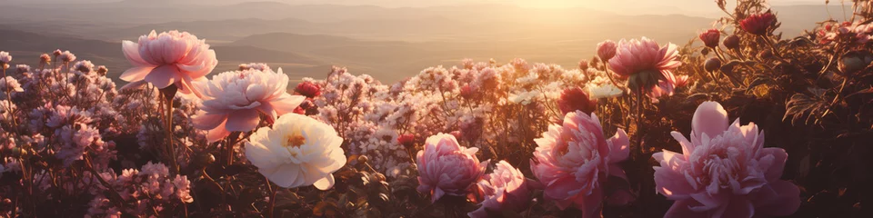 Fotobehang web banner of pink peony flower field © sam richter