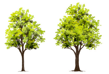 Vector watercolor green tree or forest side view isolated on white background for landscape and architecture drawing,elements for environment or garden,botanical element for exterior section in spring