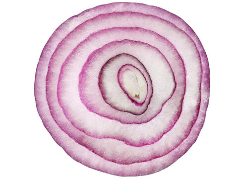 Red onion slices isolated on a transparent background. A slice of the rings, top view.