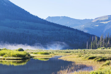 Mountains meadow