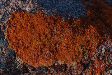 Stone with lichen on surface, abstract background or texture