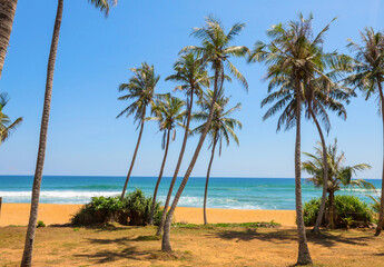 Fototapeta premium Tropical beach