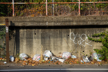 Garbage in the street