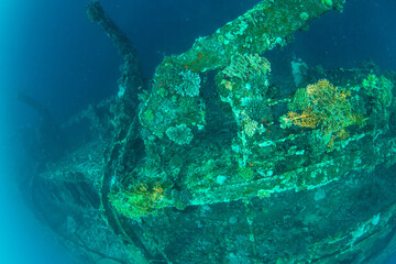 View over the fouled rusty side of the hull of MV Salem Express shipwreck, Red Sea, Egypt