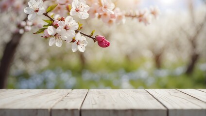 empty white wooden board in background blurred spring flowers on trees