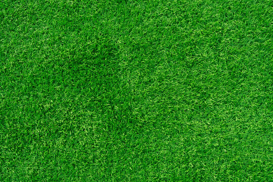 Green grass texture background, green lawn	