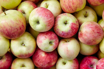 Bunch of organic fresh apples on a market. Overhead view of fresh organic apples. Healthy eating concept