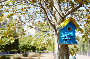 A wooden nesting box hanging on a tree. Feeder for birds in the city park