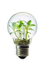 Green plant leaves in   light bulb, ecology concept