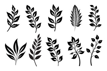 Set of leaf silhouette, botanical elements. Vector leaves isolated on white background. Generative ai