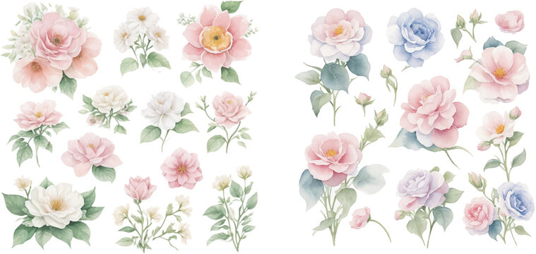Set of gentle flowers in watercolor