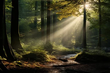  the enchanting beauty of a dense forest with sunlight filtering through the leaves © ItziesDesign