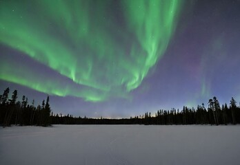 Boreal Ballet: Dancing Lights over Manitoba's Whiteshell Provincial Park