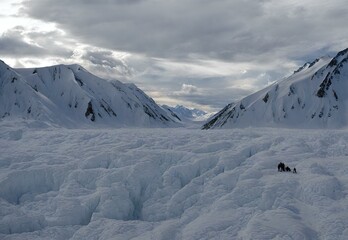 Canadian Canyons: Kluane National Park's St. Elias Mountains Adventure