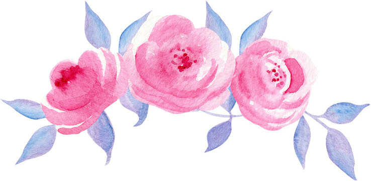 waterciolor hand drawn roses