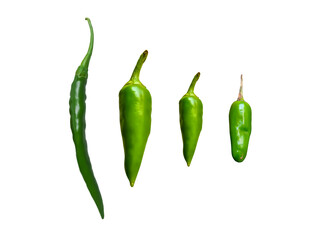 Green Chillies. Natural organic and Fresh vegetables are isolated on a white background. Desi Indian Hot Chillies in Four Sizes.